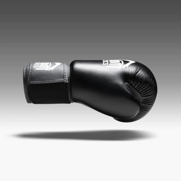 Phantom Athletics boxing gloves Ultra - black 10 OZ